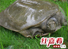 點擊查看詳細(xì)信息